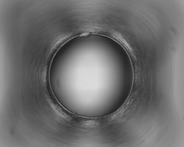 X0000110710058200906121403