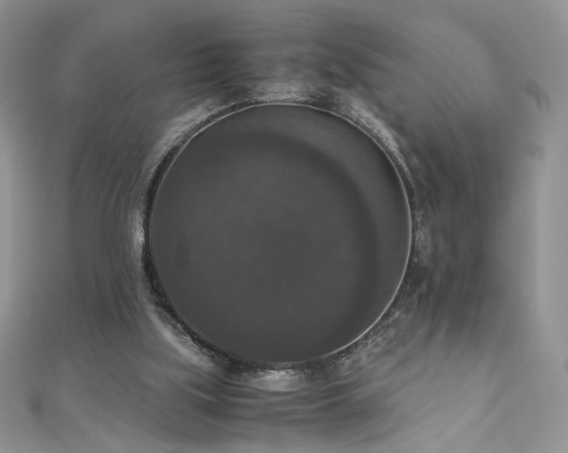 X0000110710059200906121403