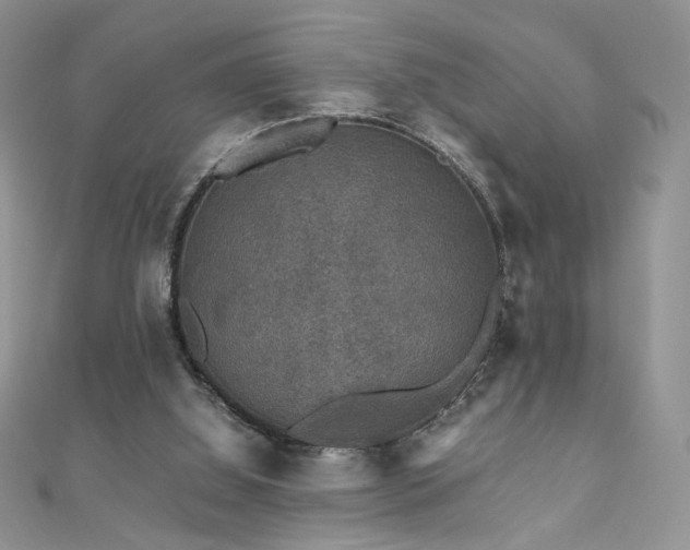 X0000110710060200906121403