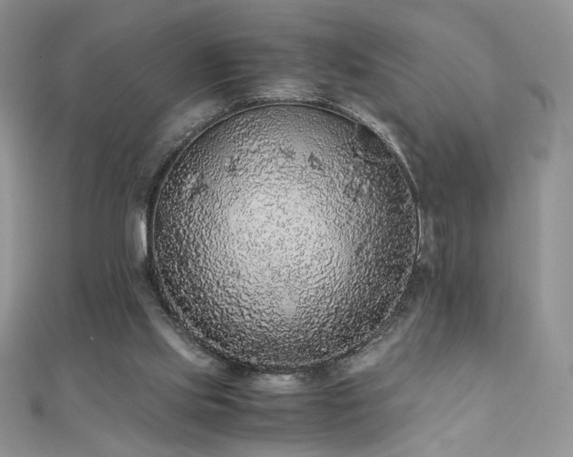 X0000110710061200906121403
