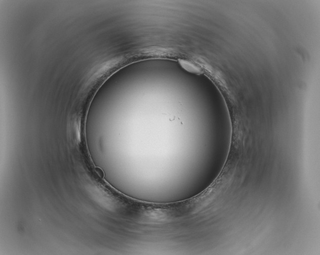 X0000110710062200906121403