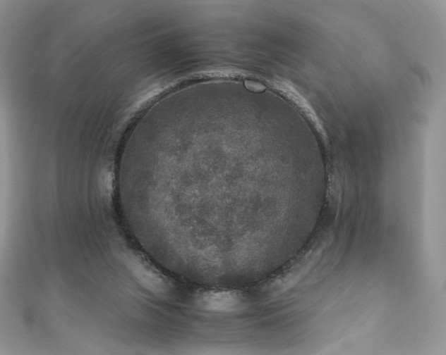 X0000110710063200906121403