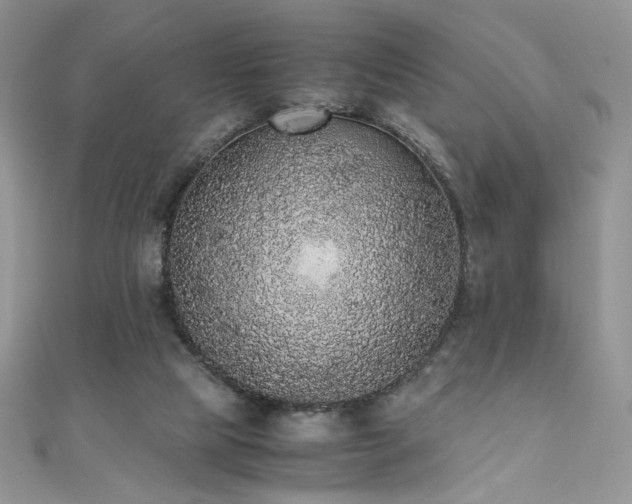X0000110710065200906121403