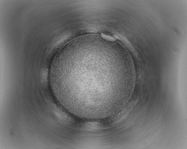 X0000110710066200906121403