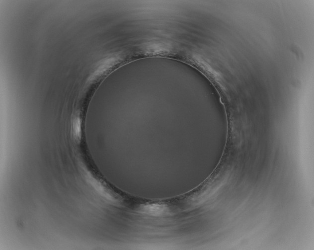 X0000110710067200906121403