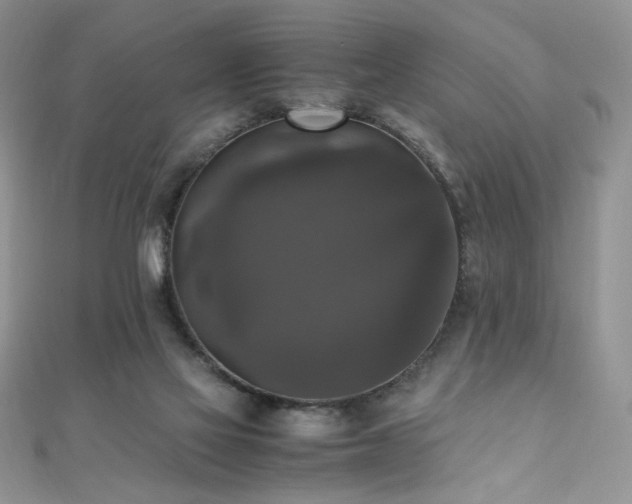 X0000110710069200906121403
