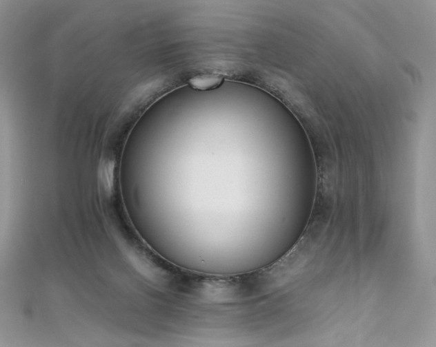 X0000110710070200906121403