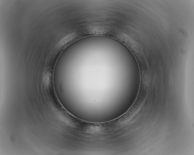 X0000110710071200906121403