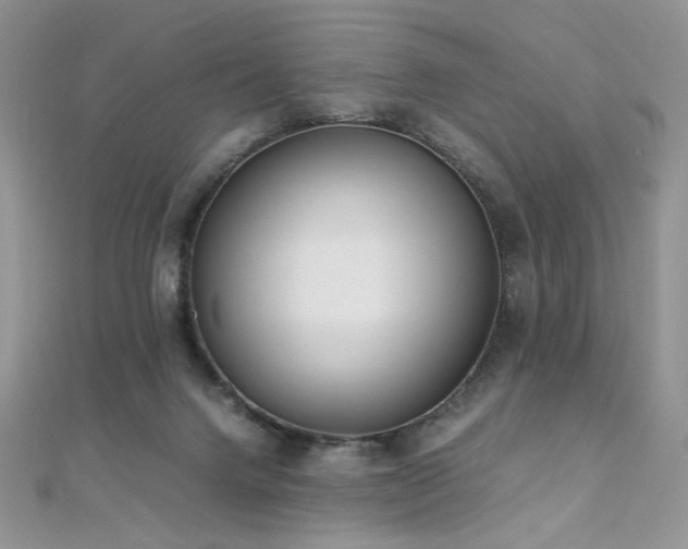 X0000110710072200906121403