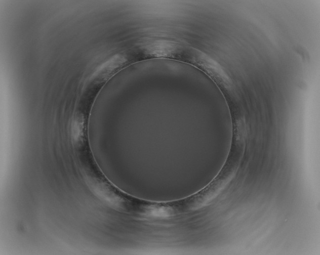 X0000110710073200906121403
