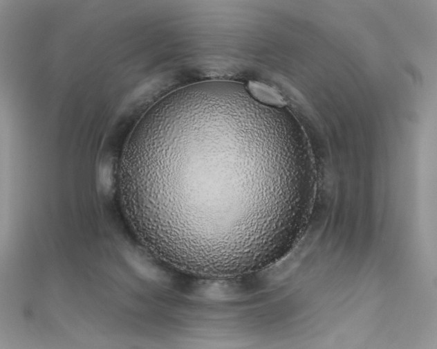 X0000110710074200906121403
