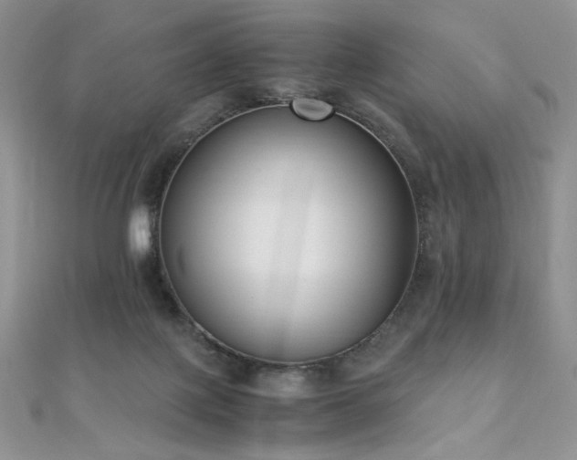 X0000110710075200906121403