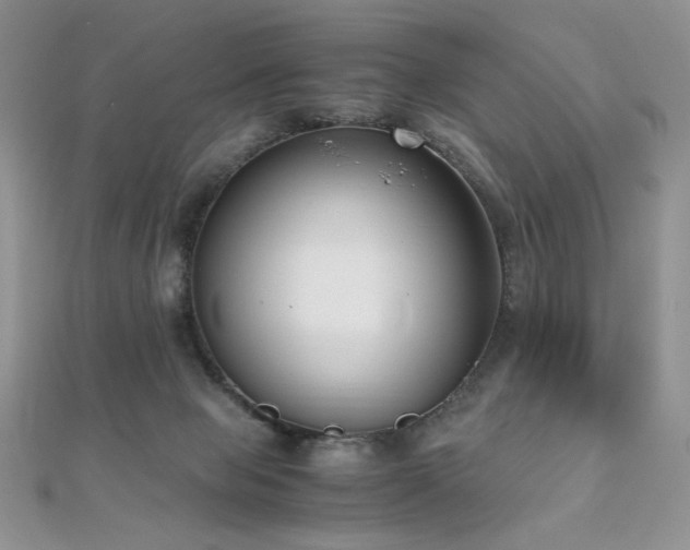 X0000110710077200906121403