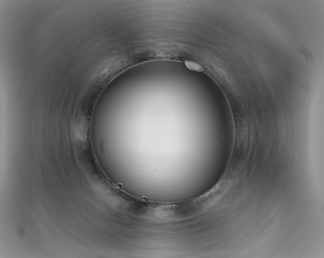 X0000110710078200906121403