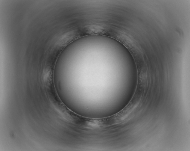X0000110710079200906121403