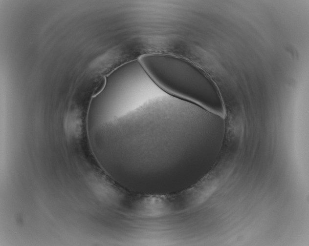 X0000110710080200906121403