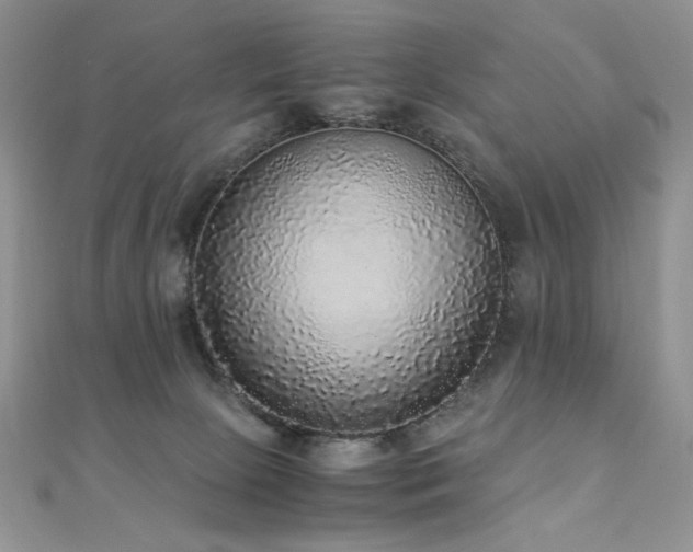 X0000110710081200906121403