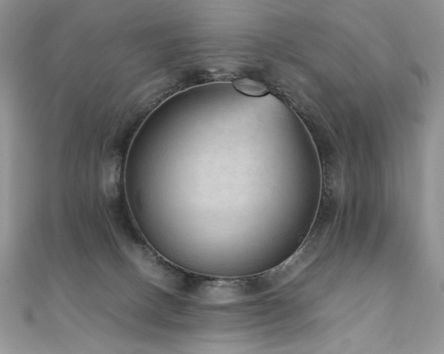 X0000110710082200906121403
