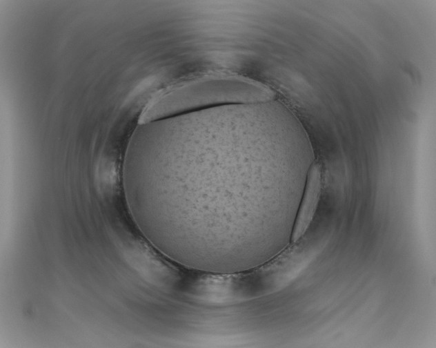 X0000110710084200906121403