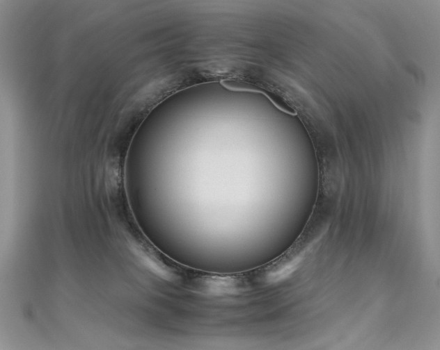 X0000110710085200906121403