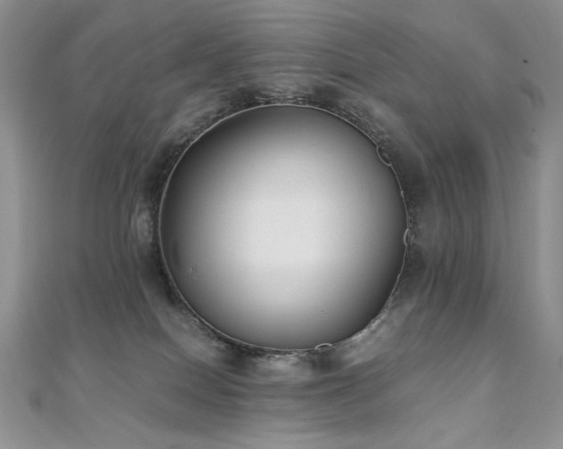 X0000110710086200906121403