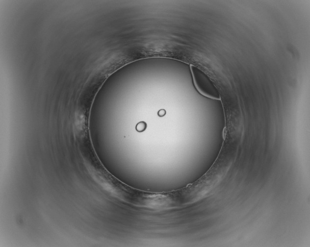 X0000110710087200906121403