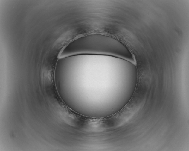 X0000110710088200906121403