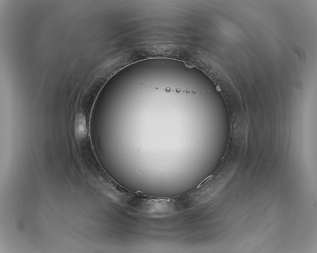 X0000110710089200906121404