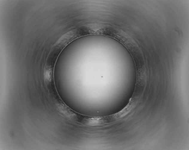 X0000110710090200906121404