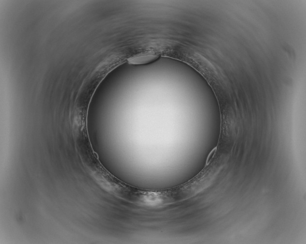 X0000110710091200906121404