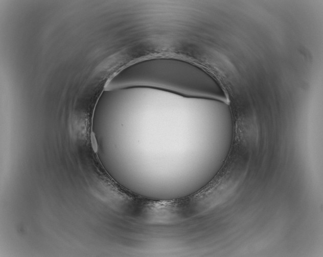 X0000110710092200906121404