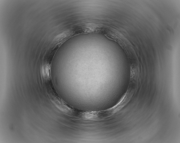 X0000110710094200906121404