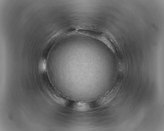 X0000110710095200906121404