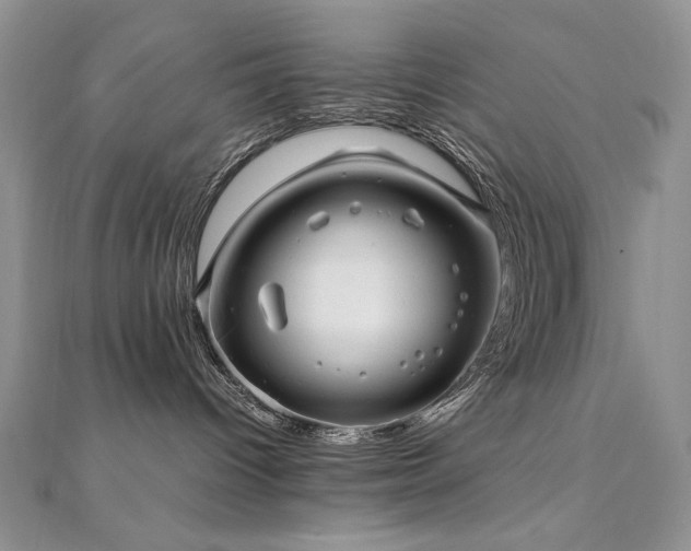 X0000110710096200906121404