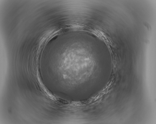 X0000110710097200906121403