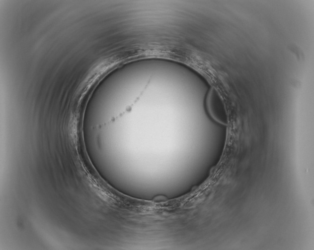 X0000110710098200906121403