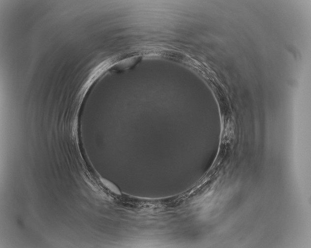 X0000110710099200906121403