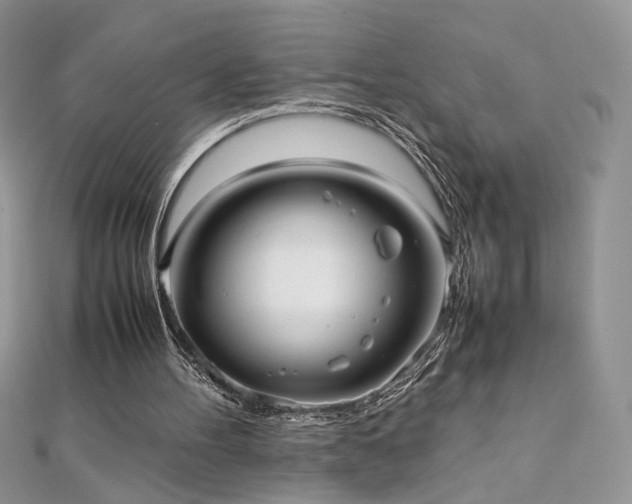 X0000110710100200906121403