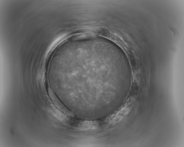 X0000110710101200906121403