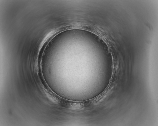 X0000110710102200906121403