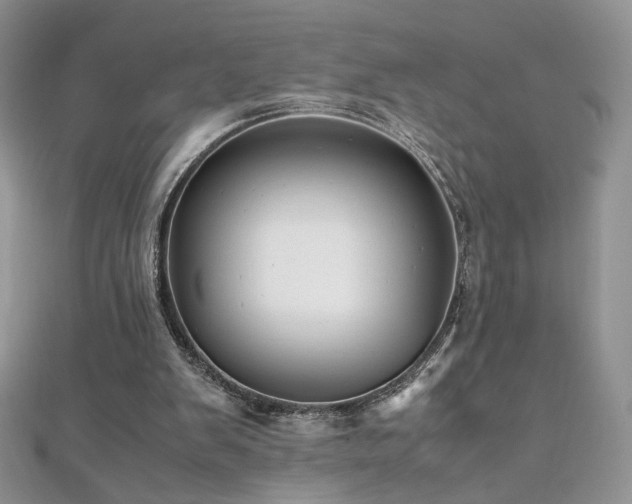 X0000110710103200906121403