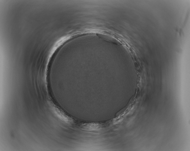 X0000110710104200906121403