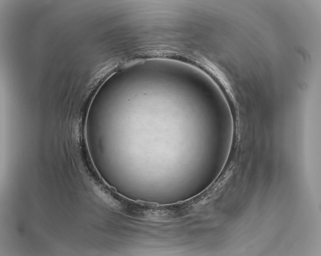 X0000110710105200906121403
