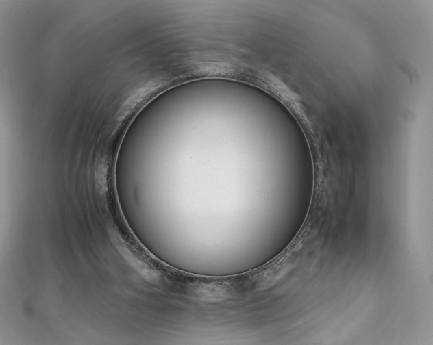 X0000110710106200906121403