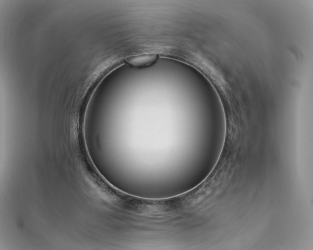 X0000110710107200906121403