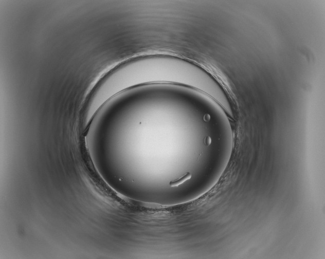 X0000110710108200906121403