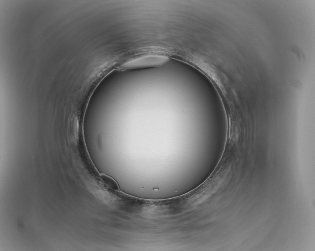 X0000110710109200906121403