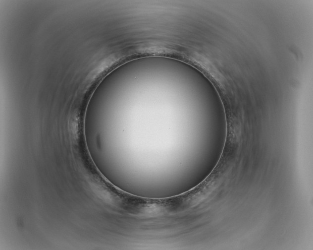 X0000110710111200906121403