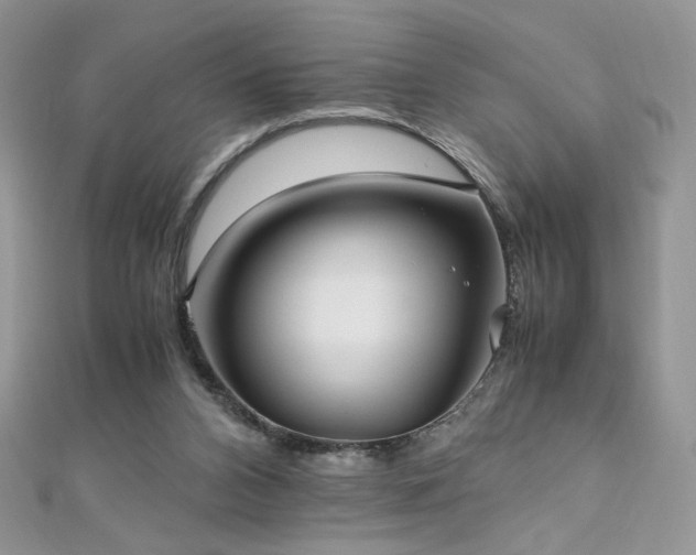 X0000110710112200906121403