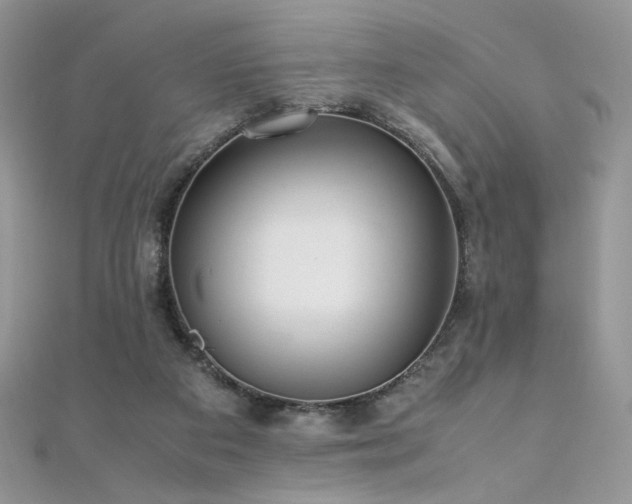 X0000110710113200906121403
